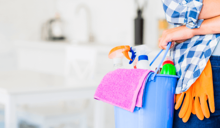 Ev Temizliği